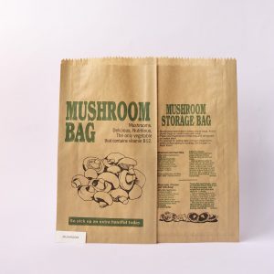 MUSHROOM Sungent Generic Printing
